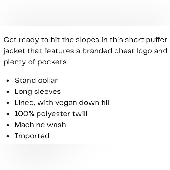 $358 MENS HUDSON PUFFER OUTDOORS SKI COAT JACKET STORMY GRAY VEGAN DOWN FILLED - Picture 2 of 16